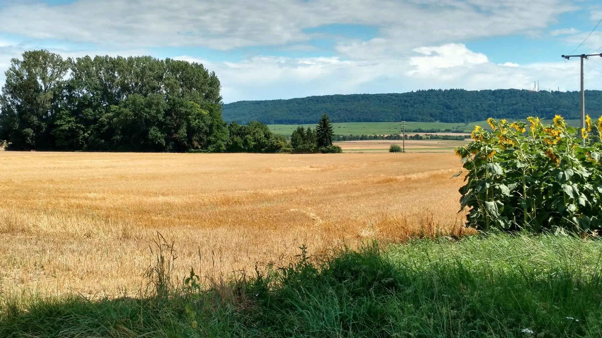 Ferienwohnung Am Kranzer Grosslangheim 0*,  Germany